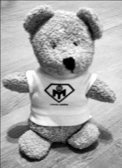 Picture of a beanie bear wearing a Mensa diamond t-shirt.