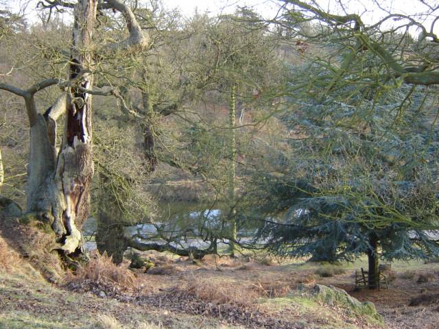 Scenic parkland in Bradgate park